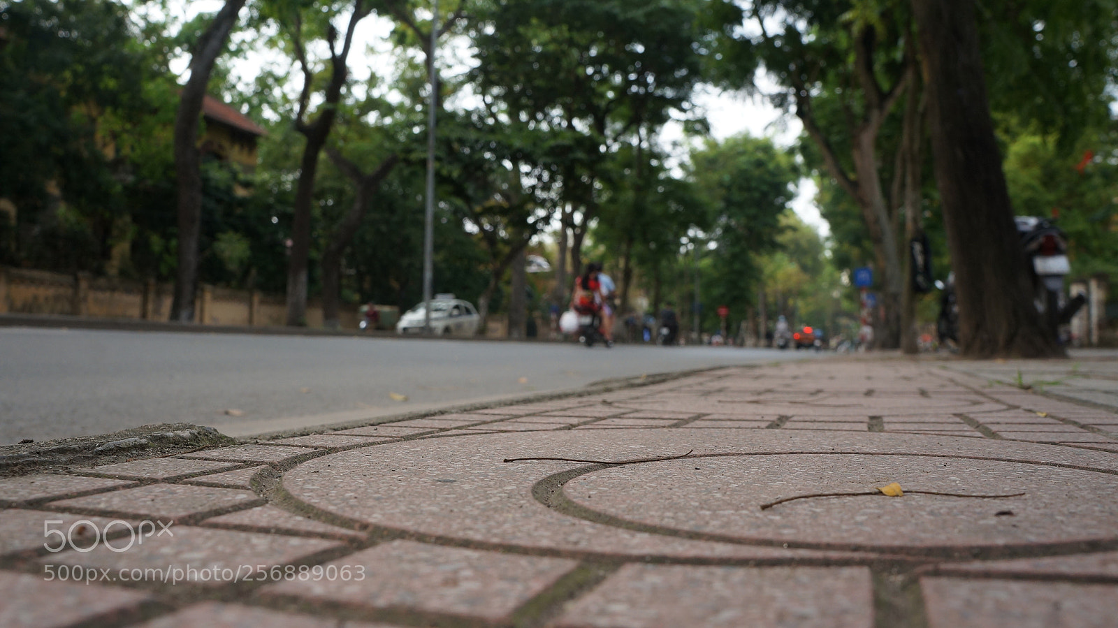 Sony Alpha NEX-5N sample photo. Dsc photography