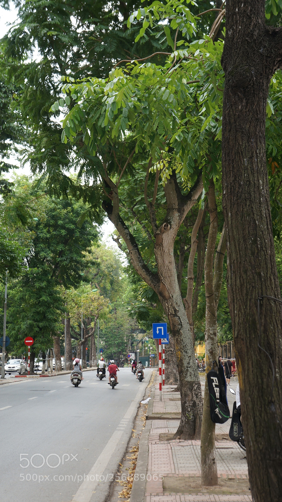 Sony Alpha NEX-5N sample photo. Dsc photography