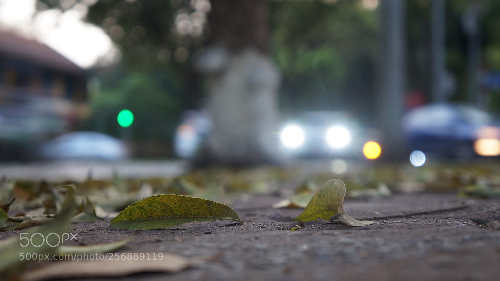 Sony Alpha NEX-5N sample photo. Dsc photography