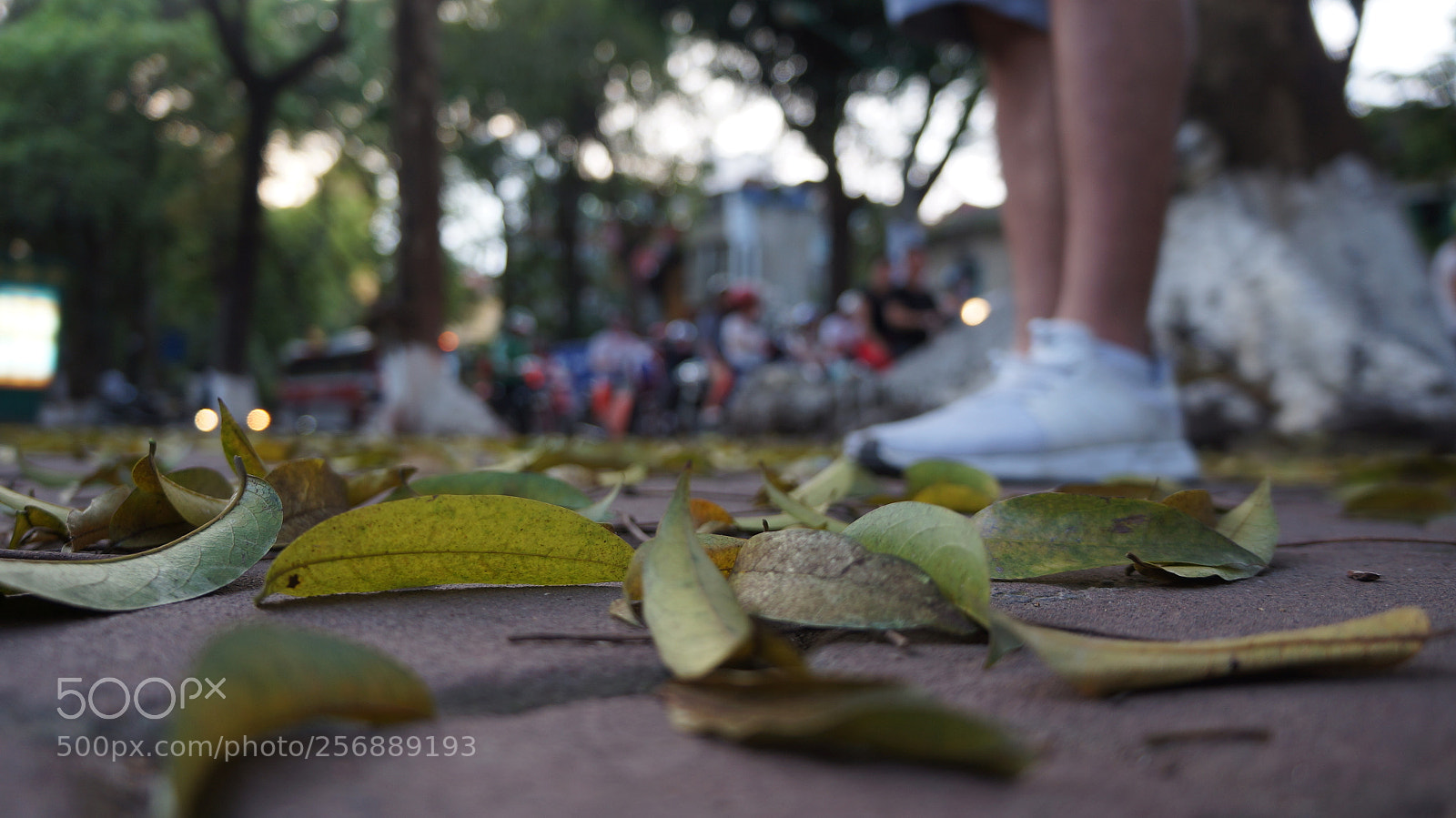 Sony Alpha NEX-5N sample photo. Dsc photography
