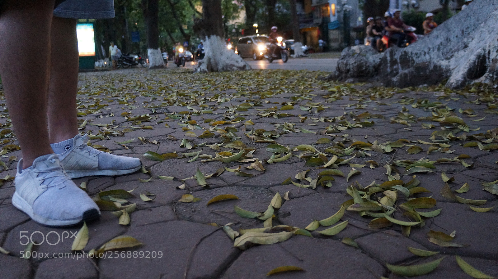 Sony Alpha NEX-5N sample photo. Dsc photography
