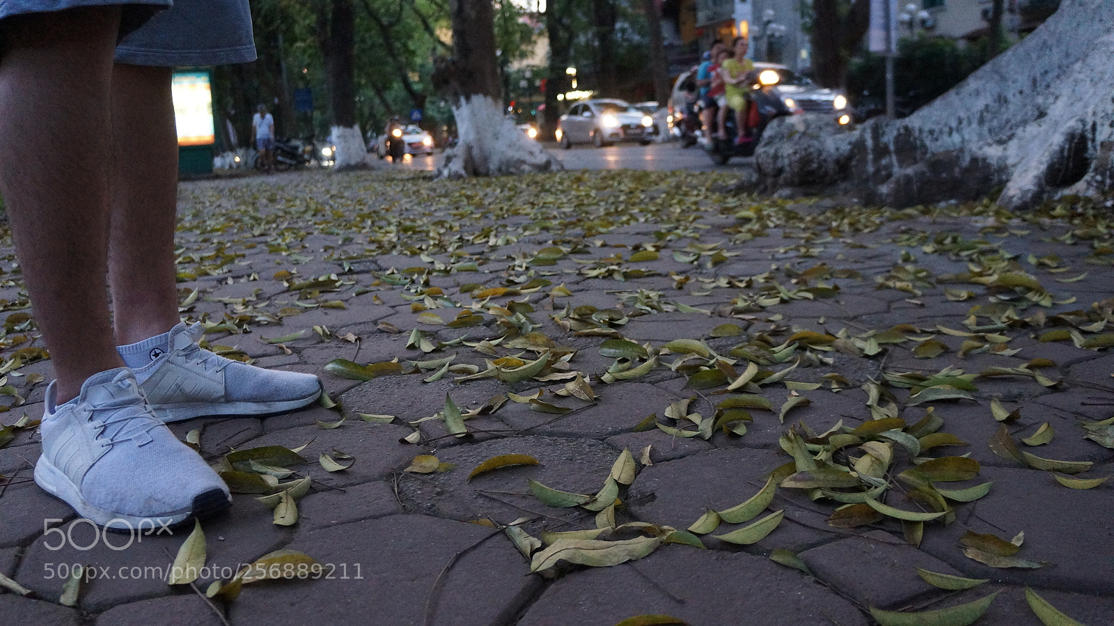 Sony Alpha NEX-5N sample photo. Dsc photography