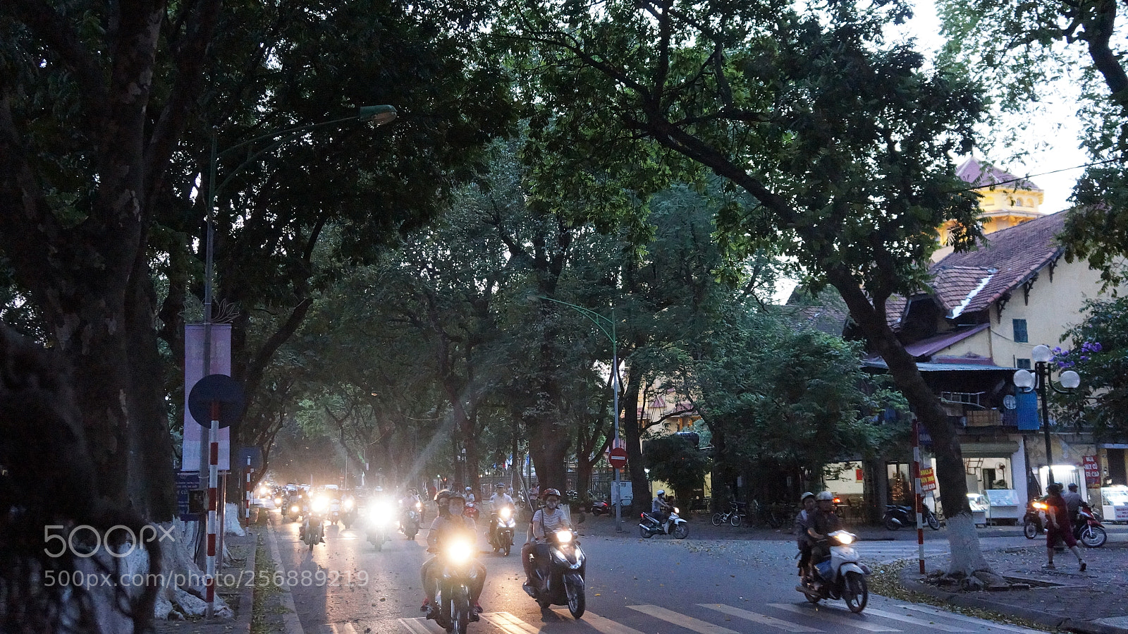Sony Alpha NEX-5N sample photo. Dsc photography