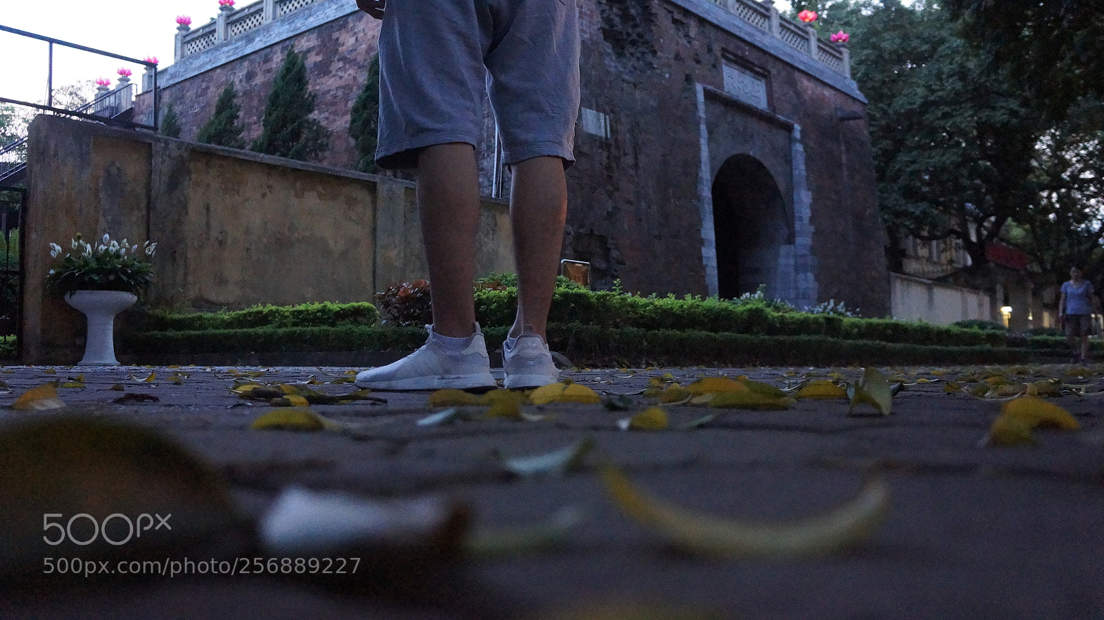 Sony Alpha NEX-5N sample photo. Dsc photography