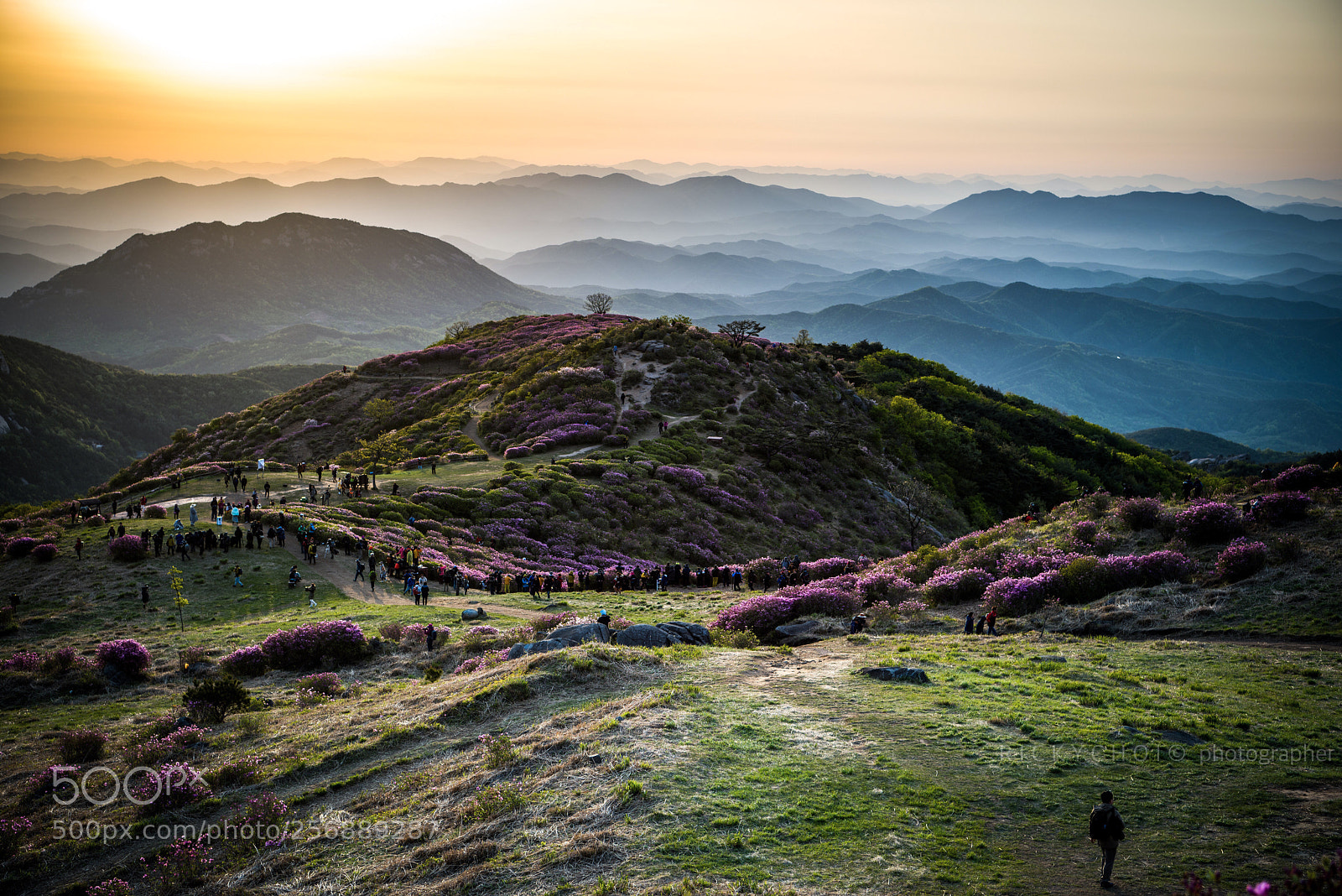 Nikon D810 sample photo. Photographers taking pictures of photography
