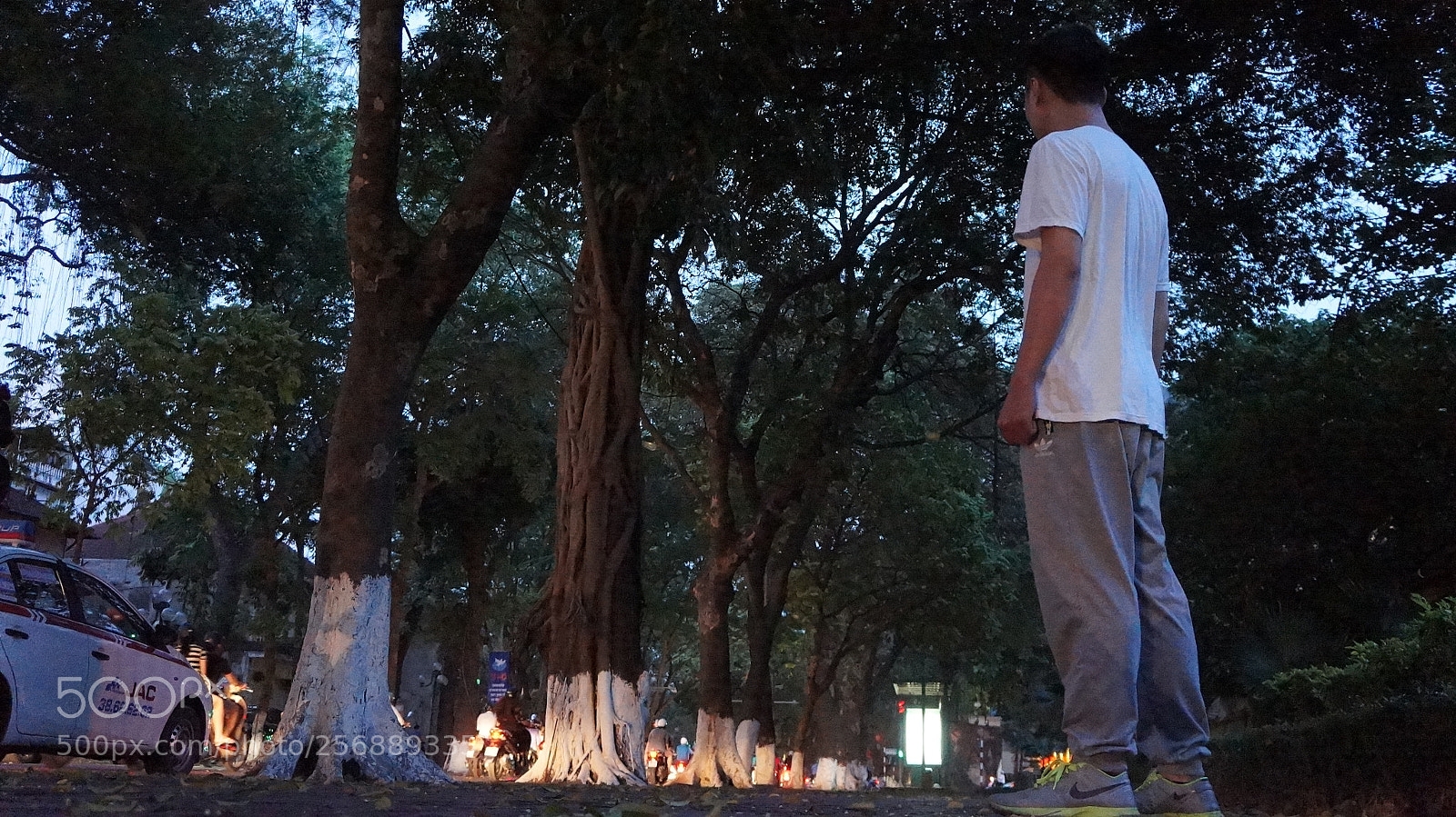 Sony Alpha NEX-5N sample photo. Dsc photography