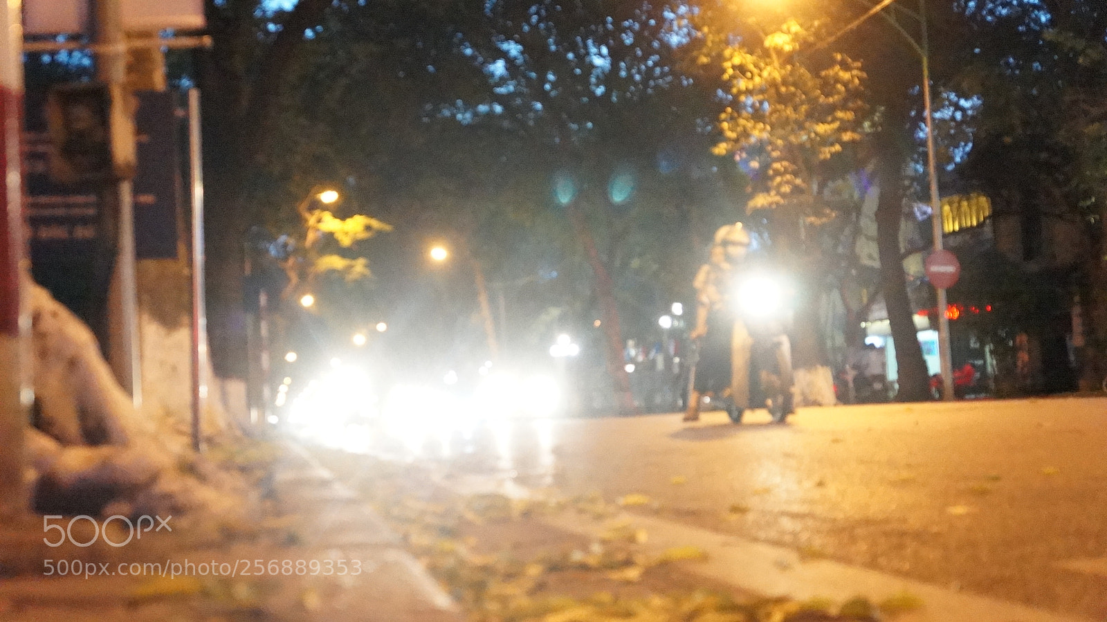 Sony Alpha NEX-5N sample photo. Dsc photography