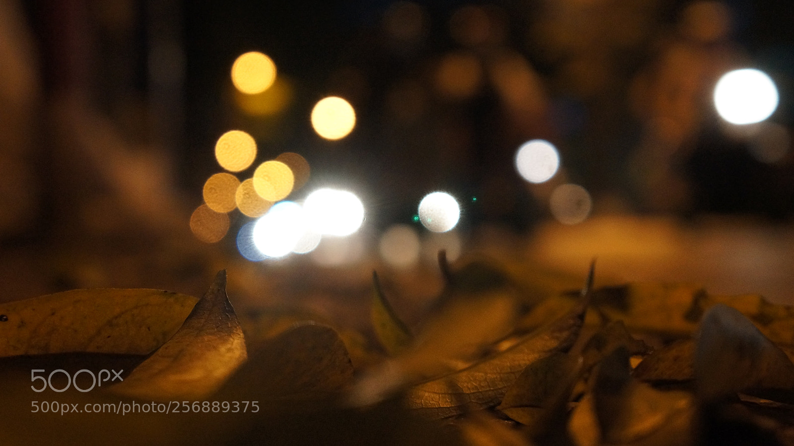 Sony Alpha NEX-5N sample photo. Dsc photography