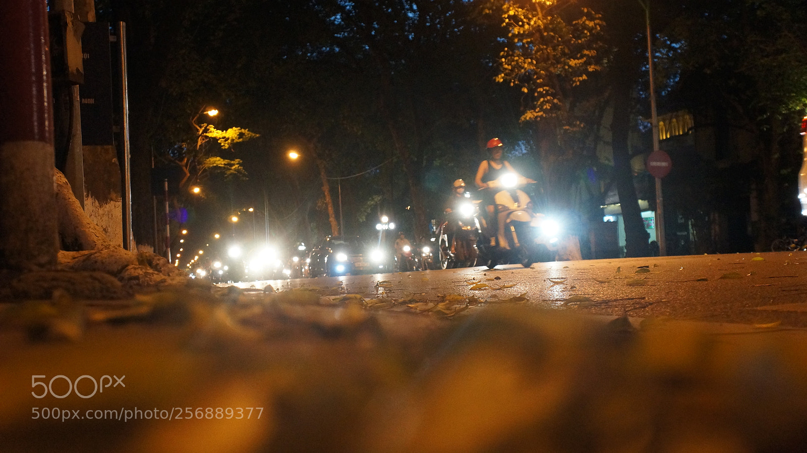 Sony Alpha NEX-5N sample photo. Dsc photography