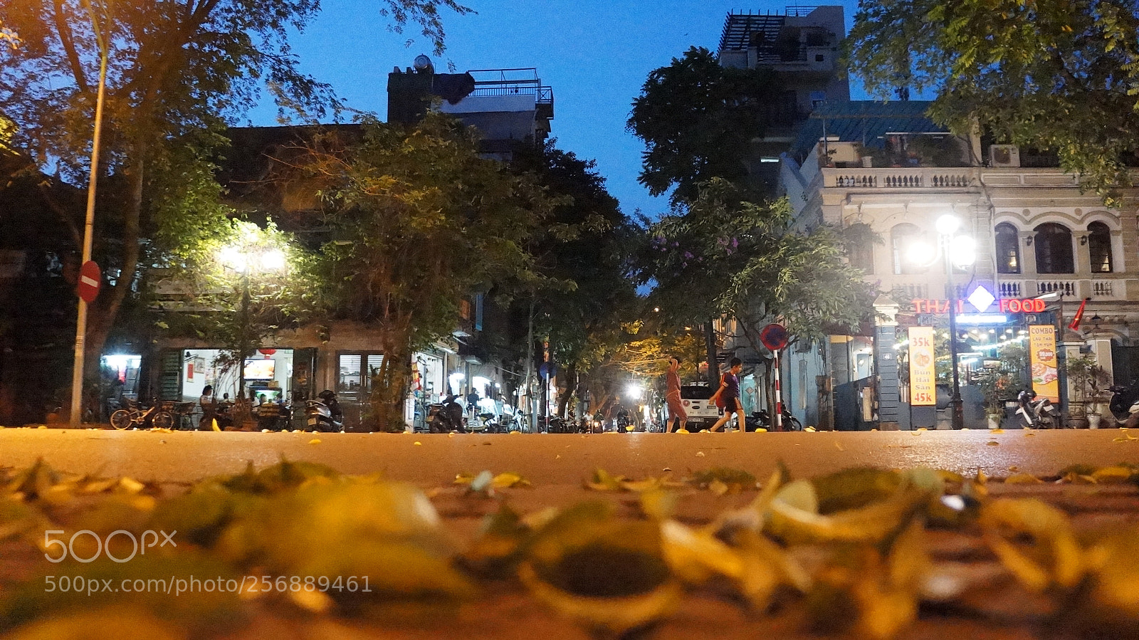 Sony Alpha NEX-5N sample photo. Dsc photography