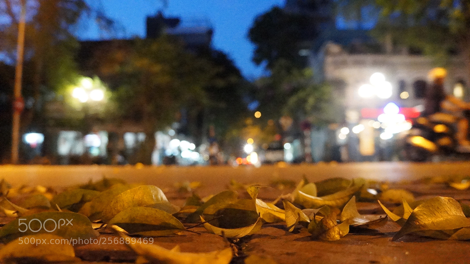 Sony Alpha NEX-5N sample photo. Dsc photography