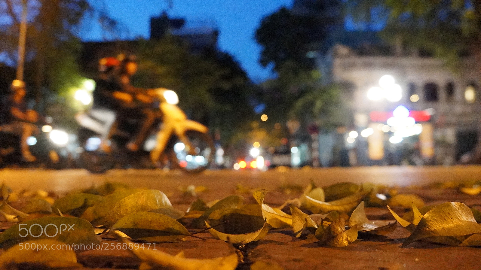 Sony Alpha NEX-5N sample photo. Dsc photography