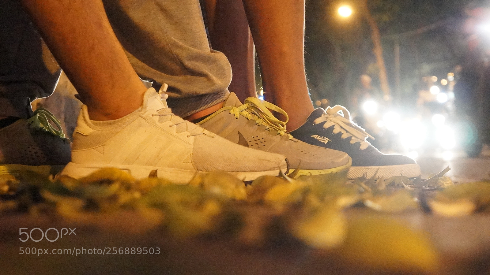 Sony Alpha NEX-5N sample photo. Dsc photography