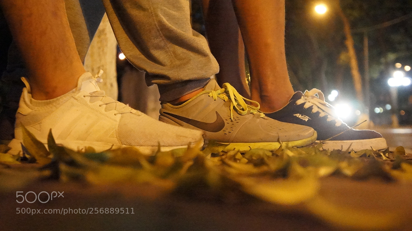 Sony Alpha NEX-5N sample photo. Dsc photography