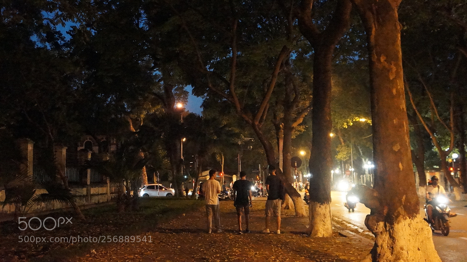Sony Alpha NEX-5N sample photo. Dsc photography