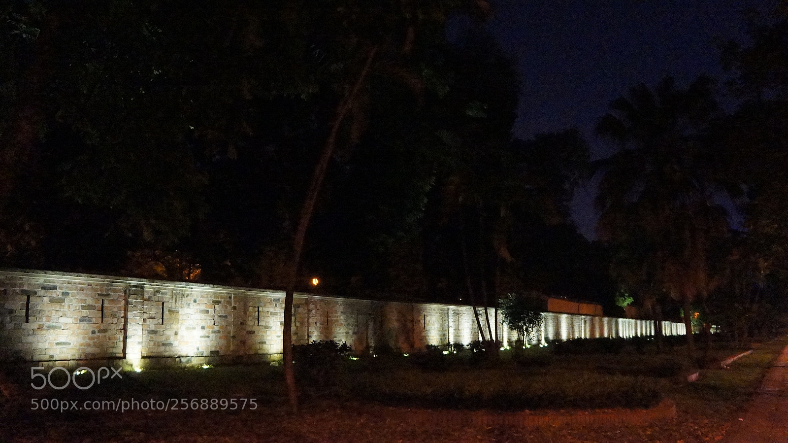 Sony Alpha NEX-5N sample photo. Dsc photography