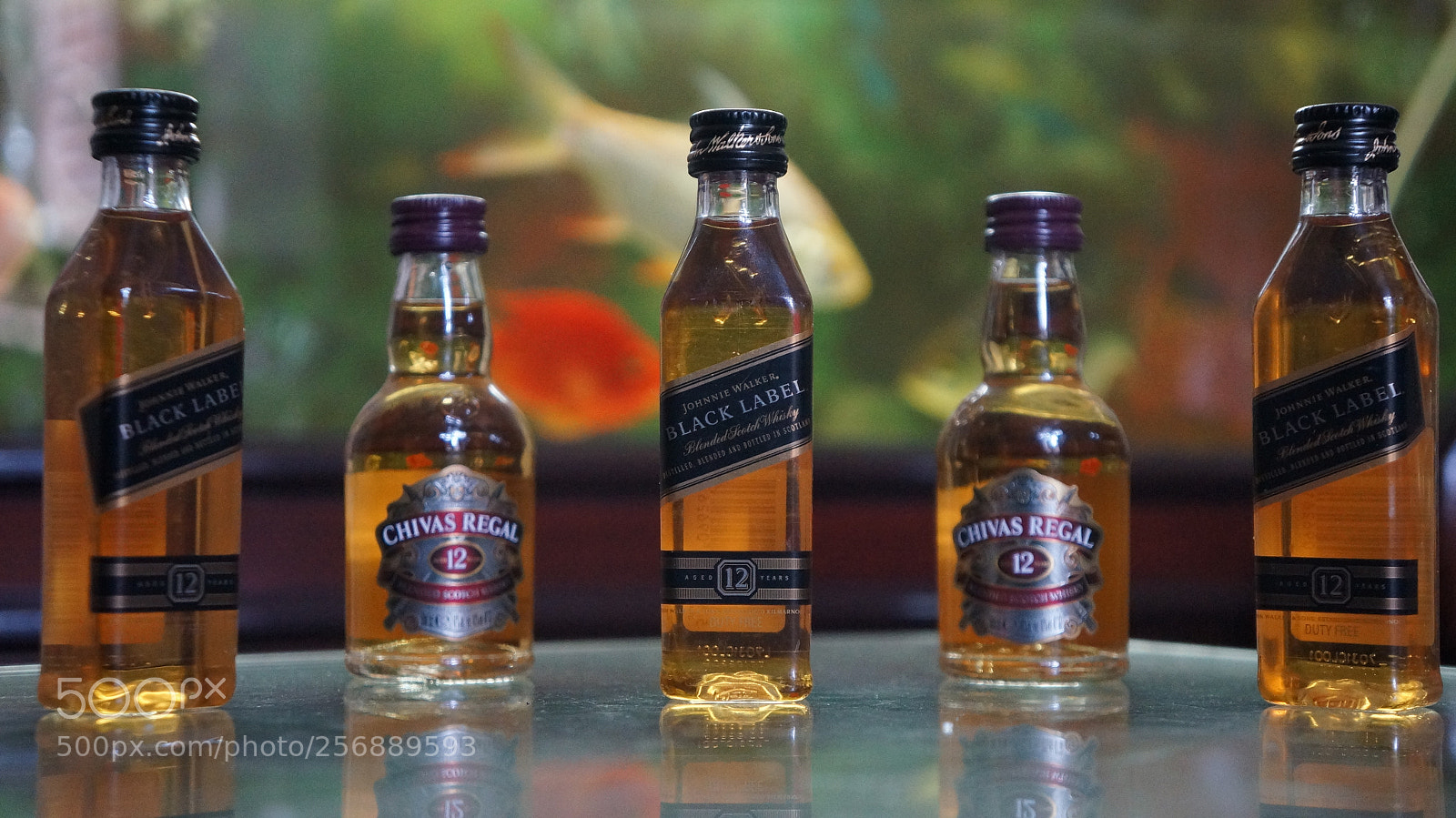 Sony Alpha NEX-5N sample photo. Dsc photography