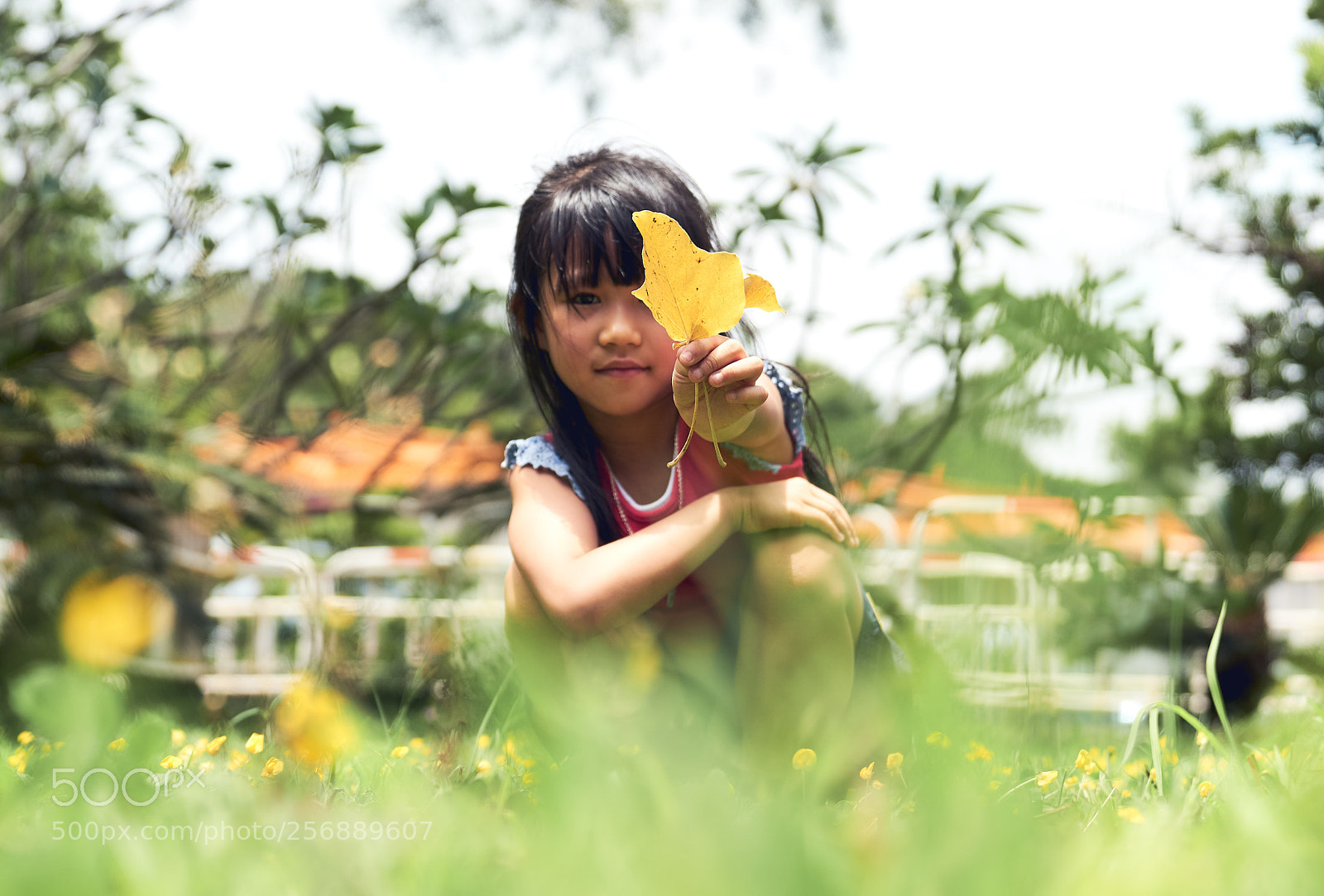 Sony a6500 sample photo. Untitled photography