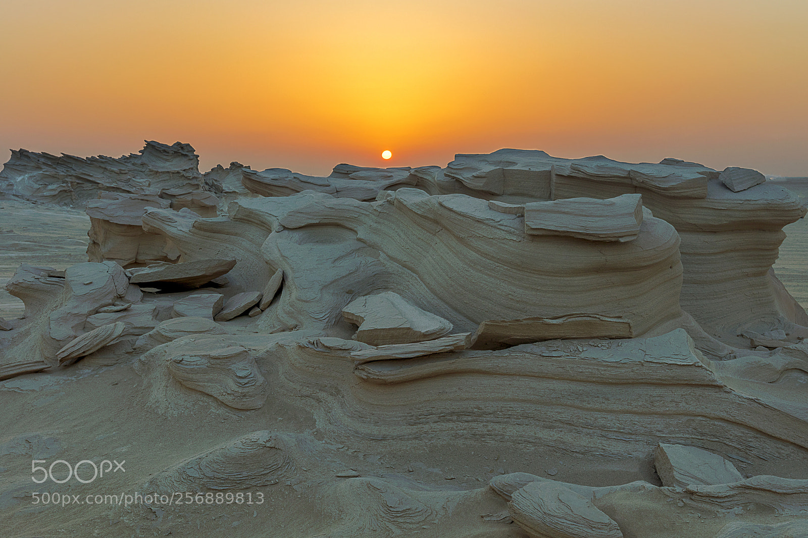 Canon EOS 5DS R sample photo. Untitled photography