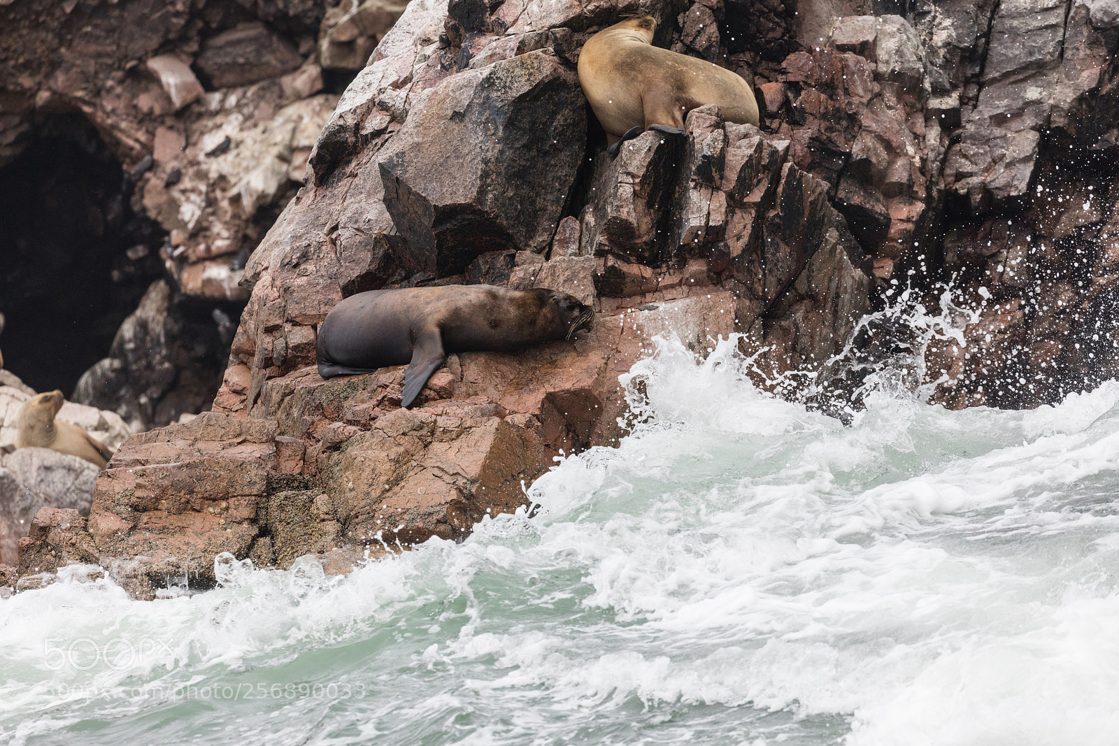 Canon EOS 5DS R sample photo. Ballestas islands, perù photography