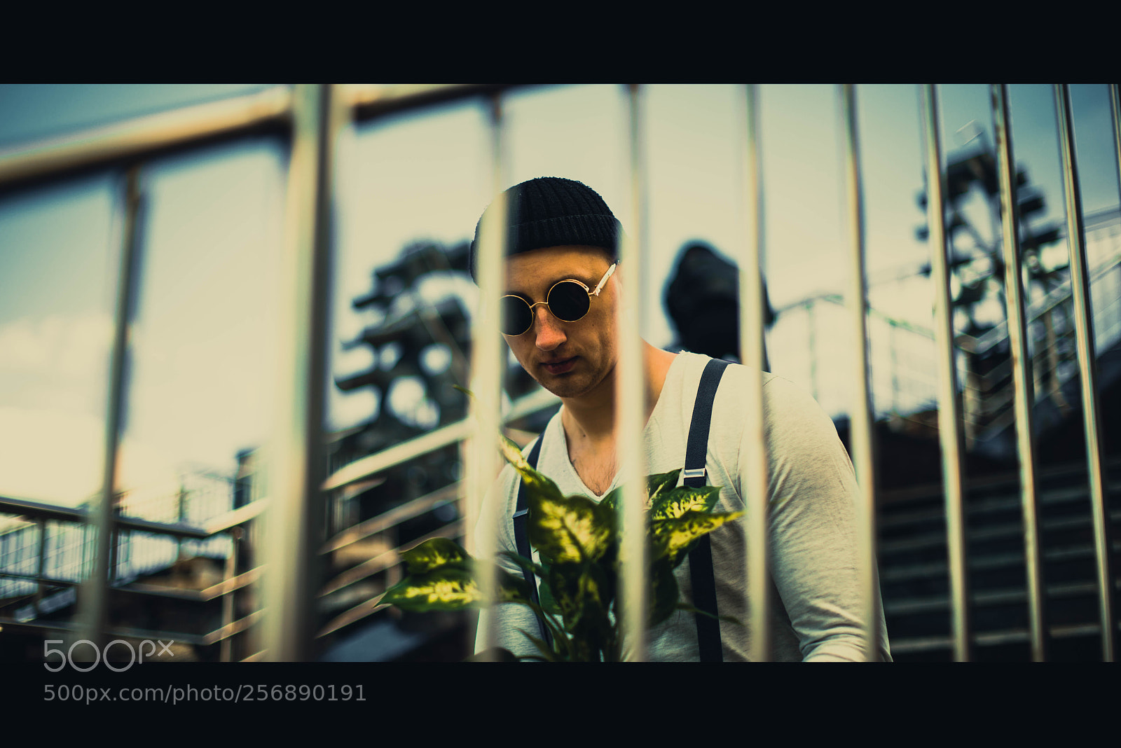 Nikon D800 sample photo. Leon photography