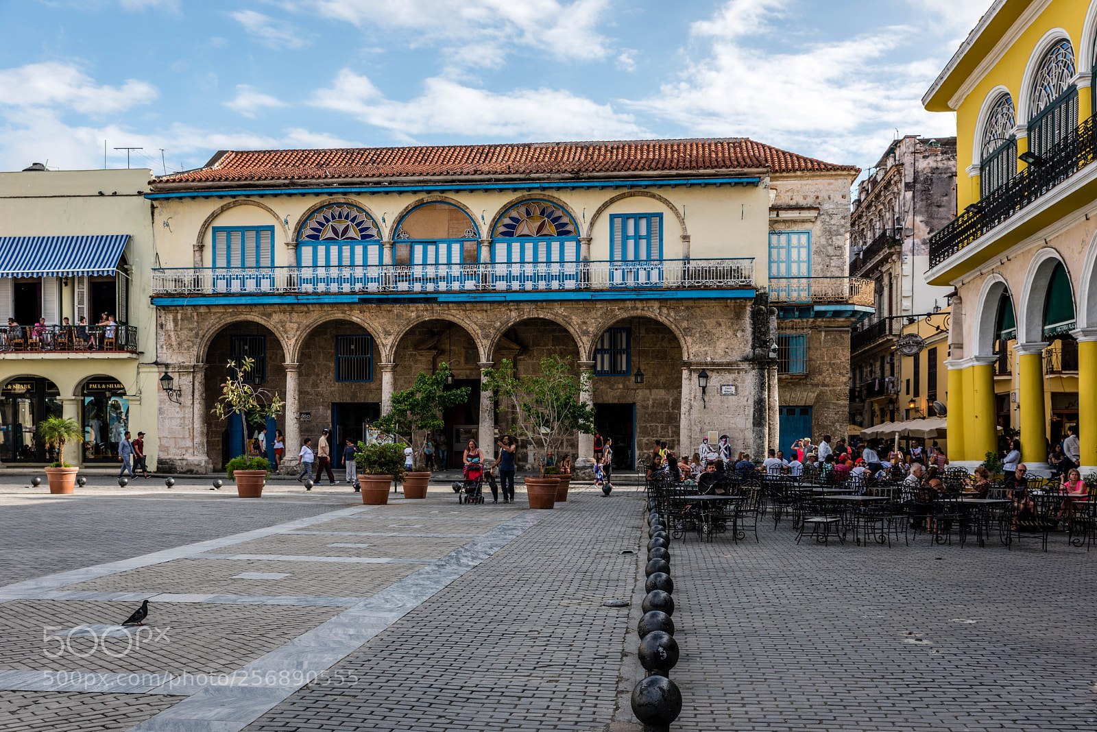Nikon D810 sample photo. Plaza vieja havana photography