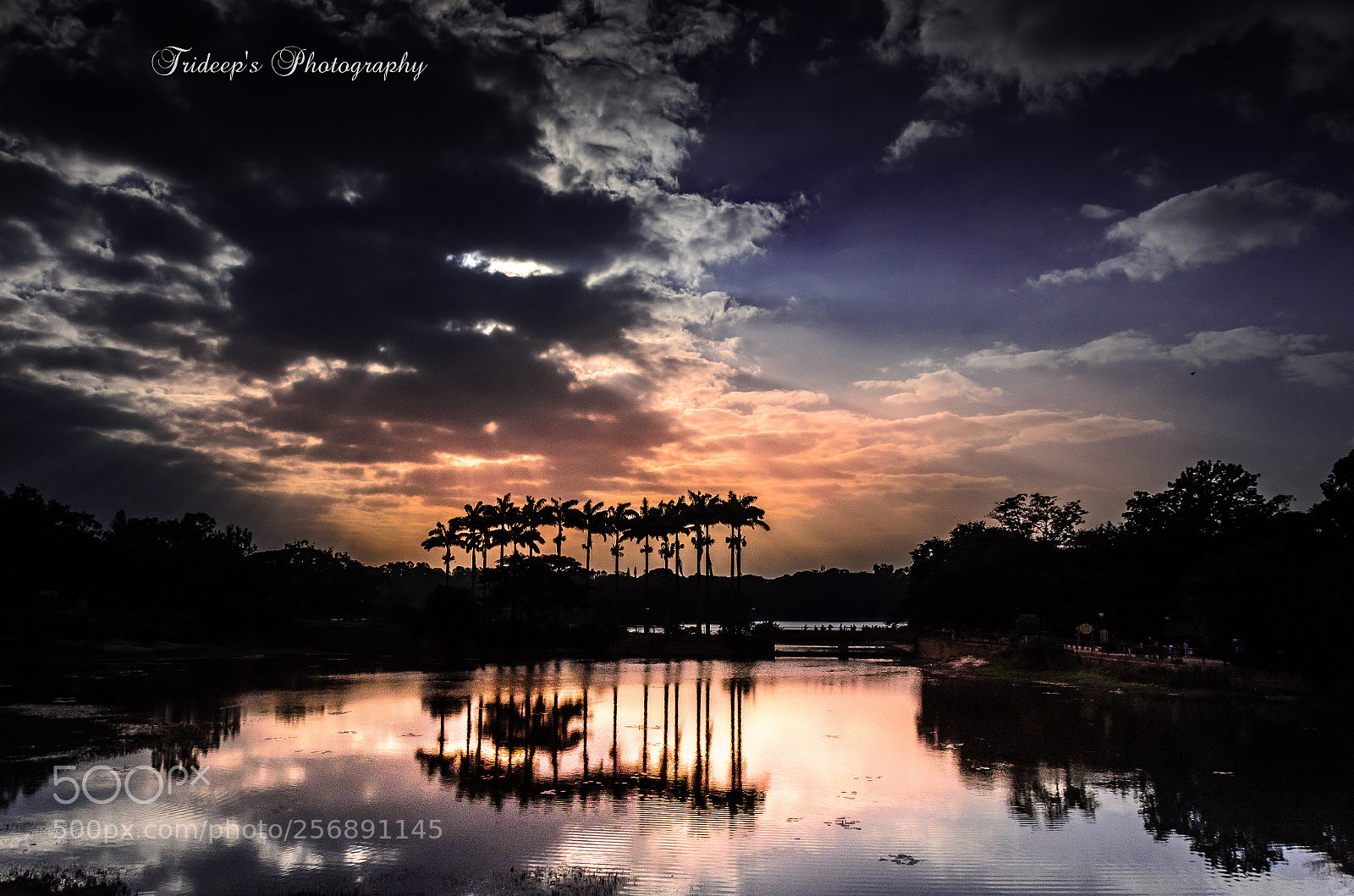 Nikon D7000 sample photo. The golden dusk photography