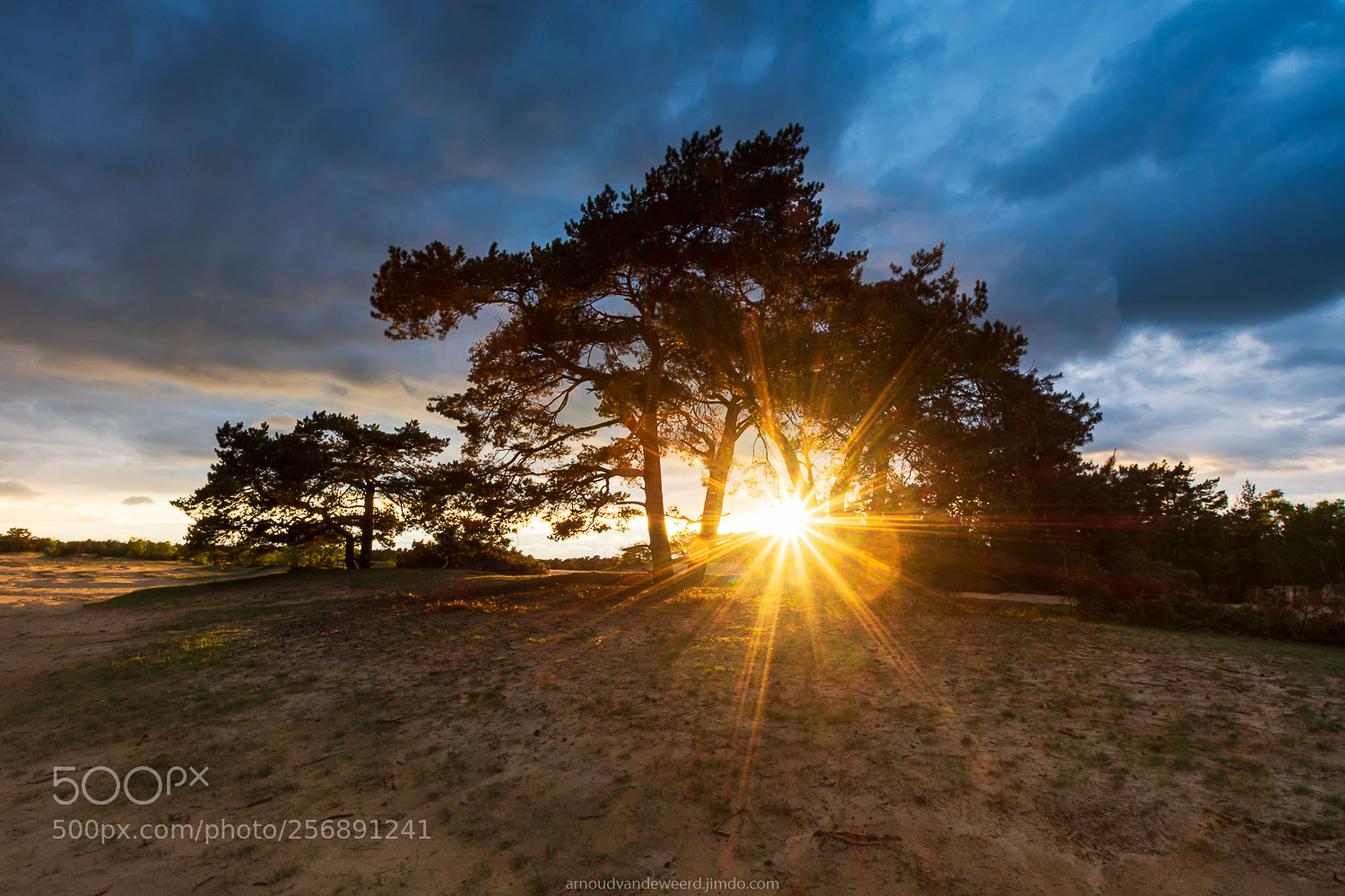 Nikon D7200 sample photo. Burst of light photography