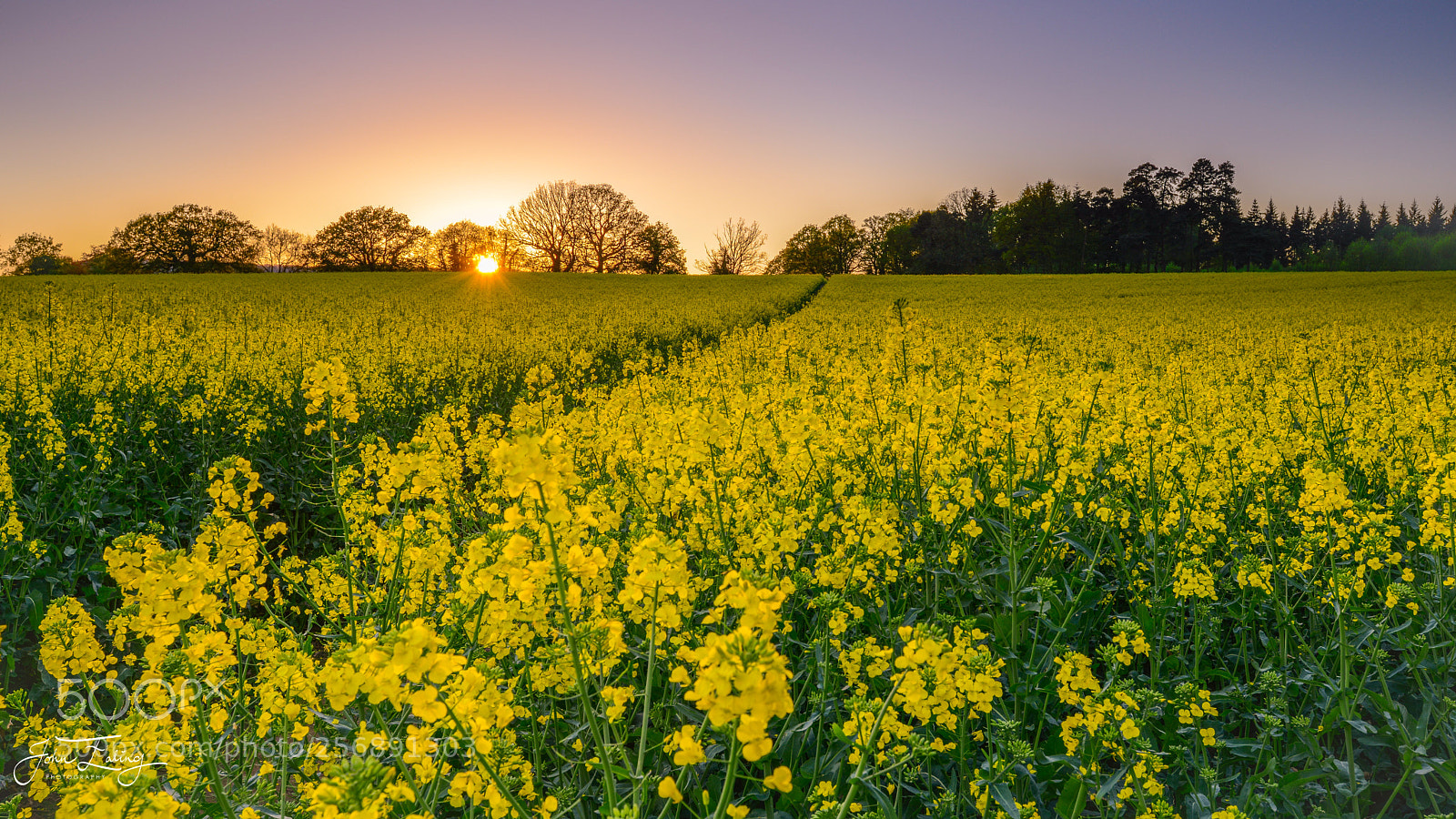 Nikon D800 sample photo. Sunset at shrawley photography