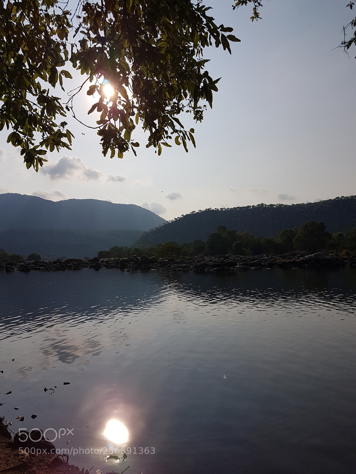 Samsung Galaxy S7 Edge sample photo. Untitled photography