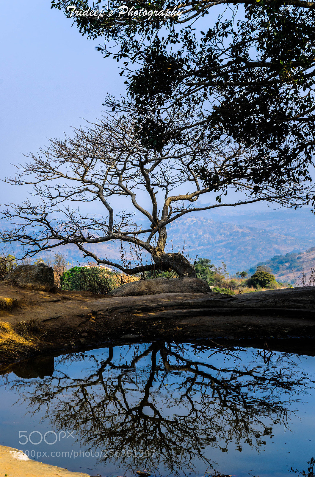 Nikon D7000 sample photo. Reflection photography