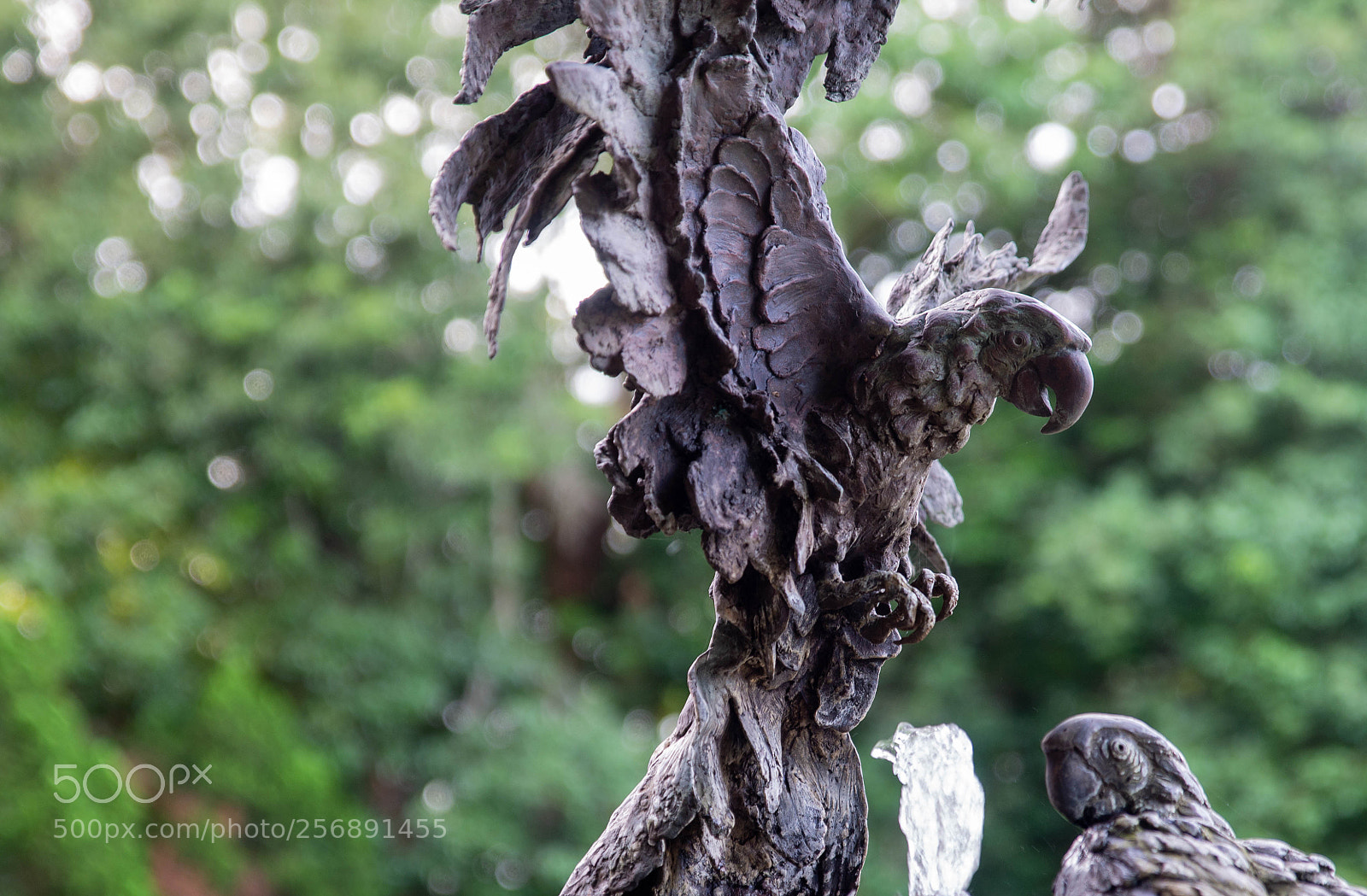Nikon D610 sample photo. Iron photography