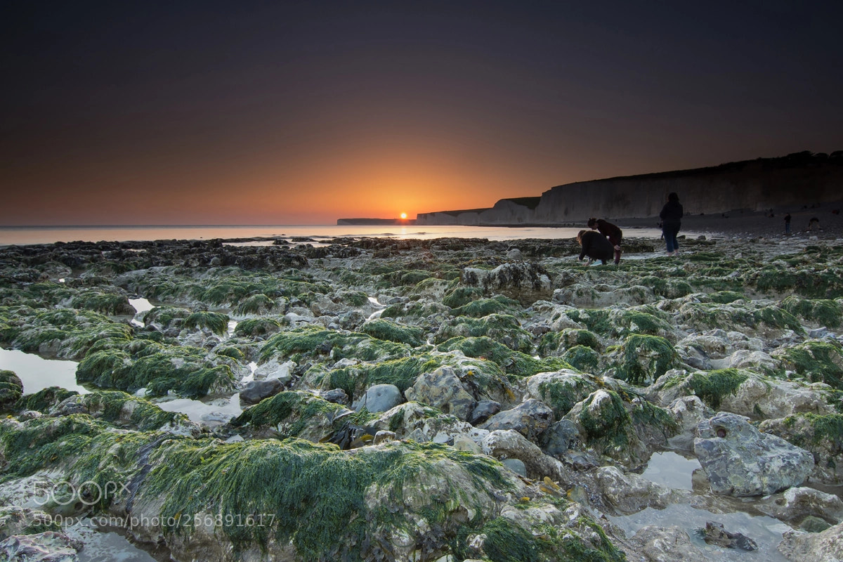 Nikon D7100 sample photo. Birling gap beach during photography