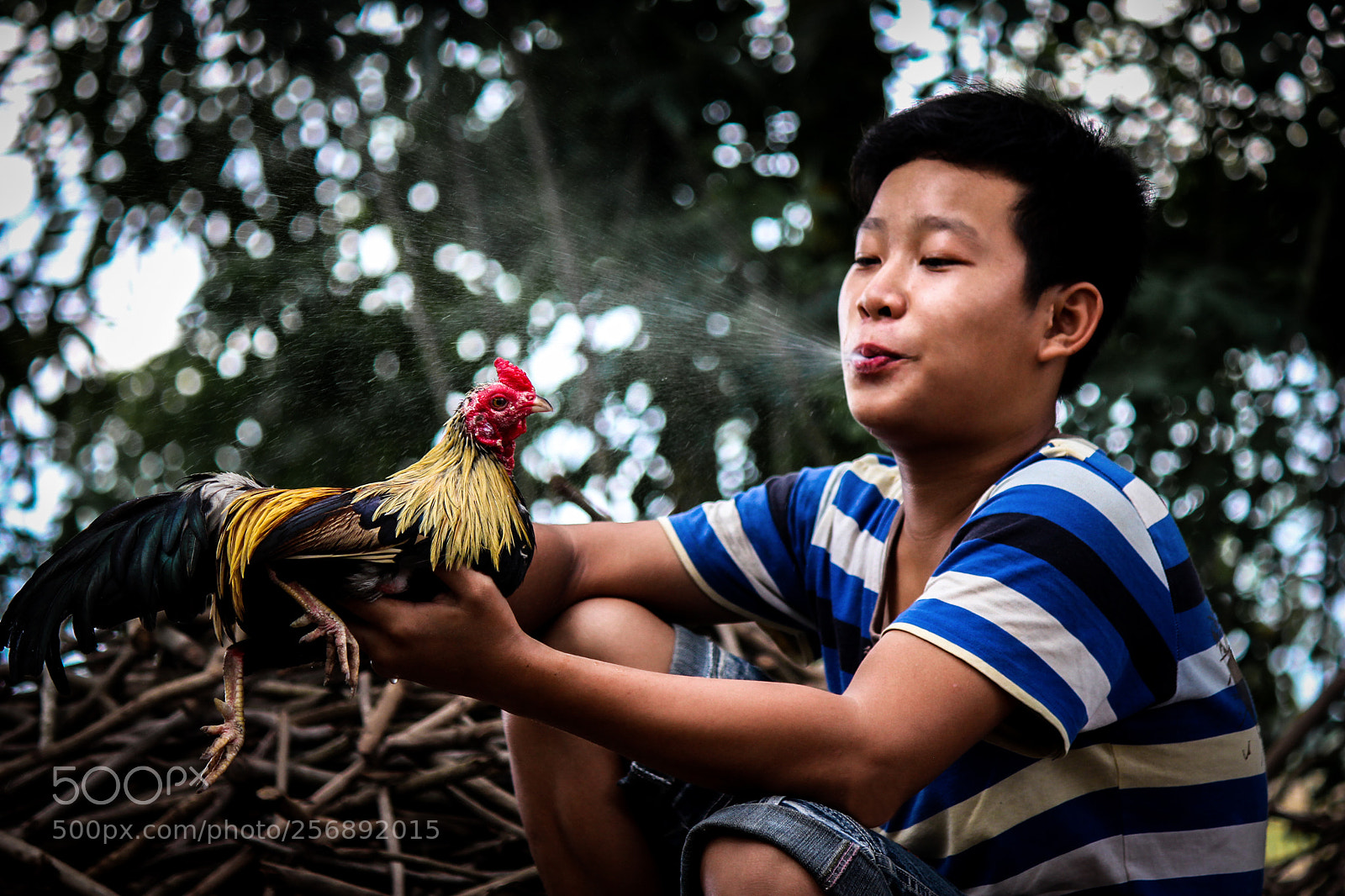 Canon EOS 550D (EOS Rebel T2i / EOS Kiss X4) sample photo. Boy cleaning vietnam gamecock photography