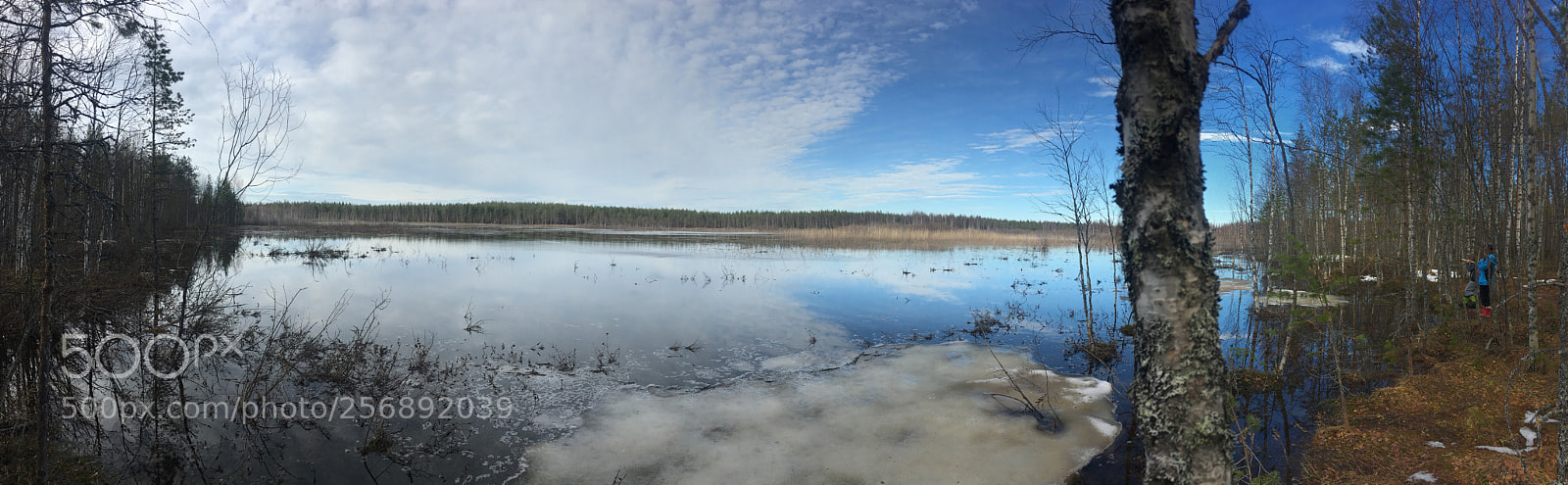 Apple iPhone 6s sample photo. A small lake photography