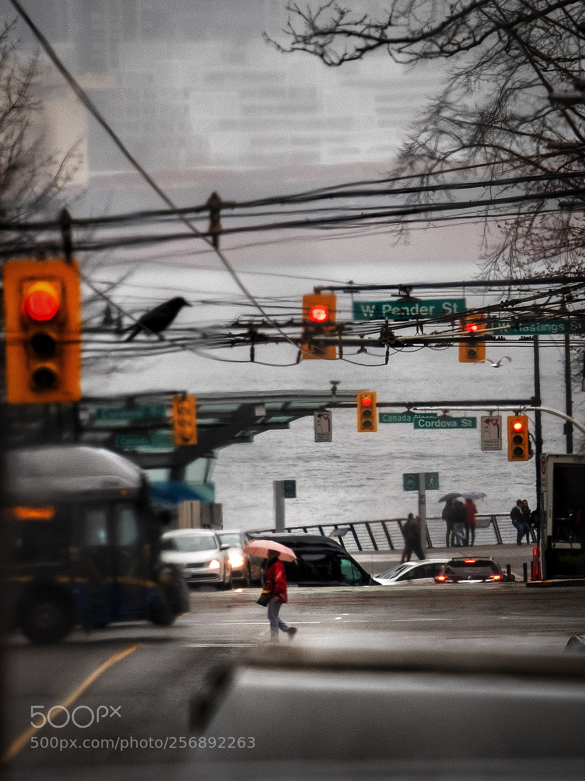 Fujifilm X-T2 sample photo. Crow road. photography