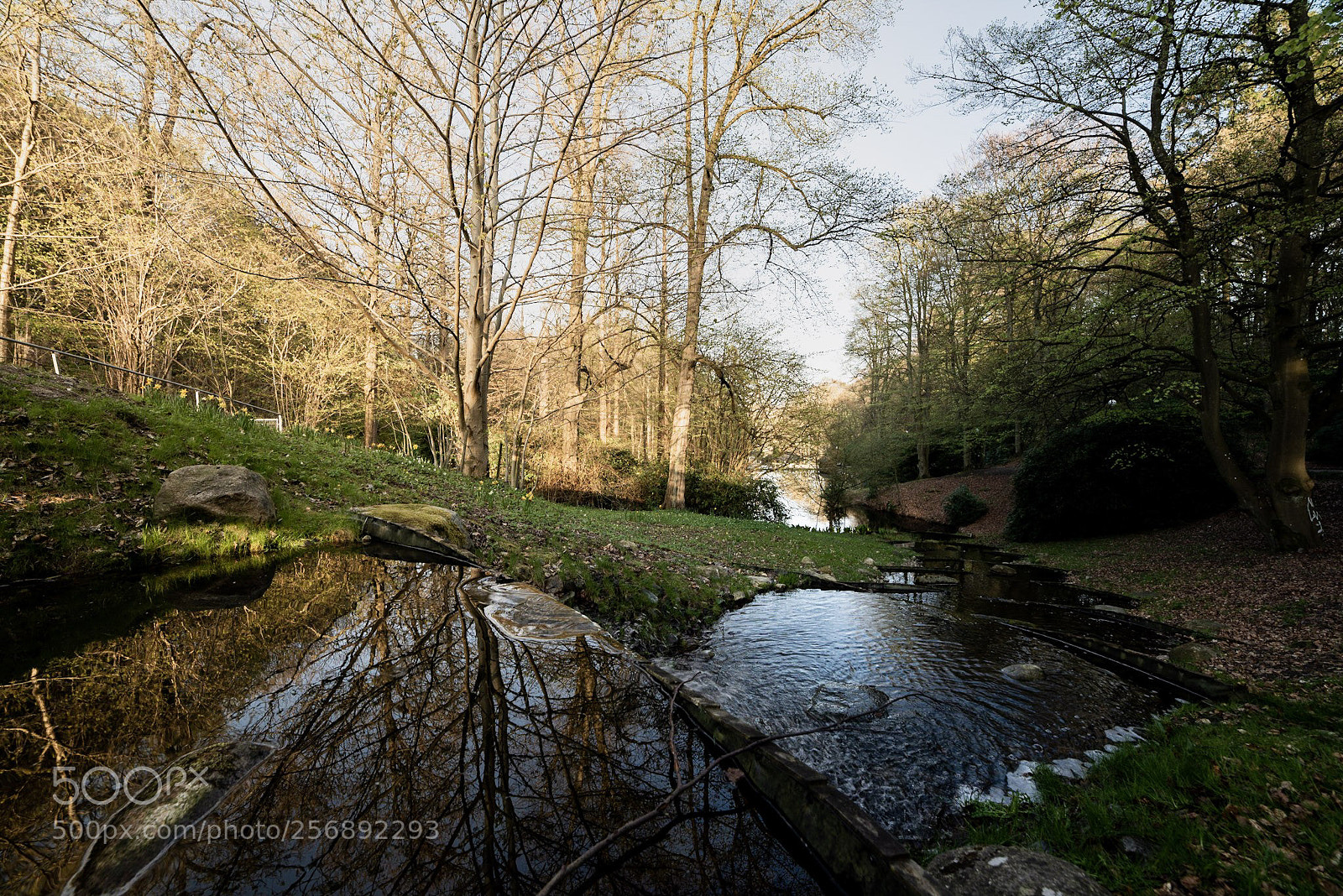 Nikon D610 sample photo. Stream and tiny waterfall photography