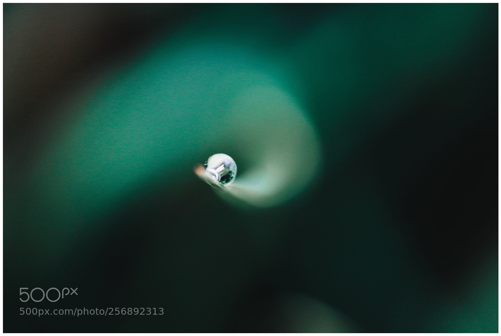 Canon EOS 6D sample photo. Untitled photography