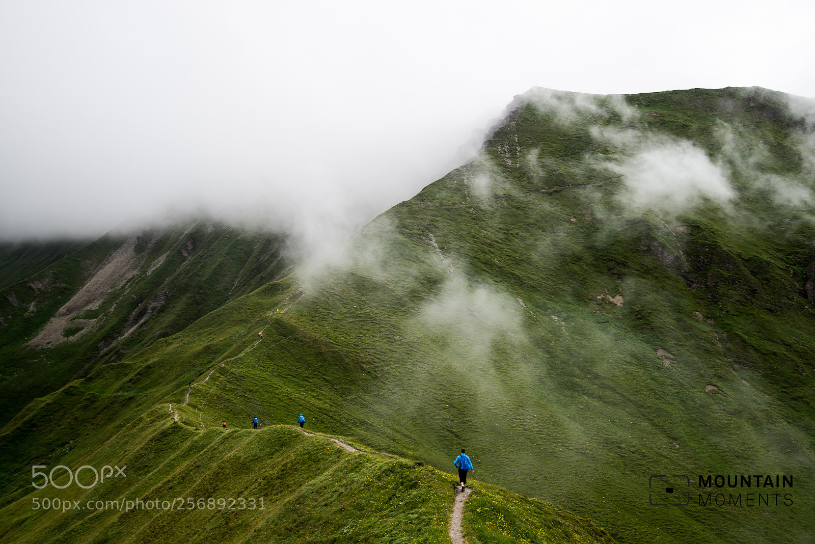 Nikon D600 sample photo. Rainy hike photography