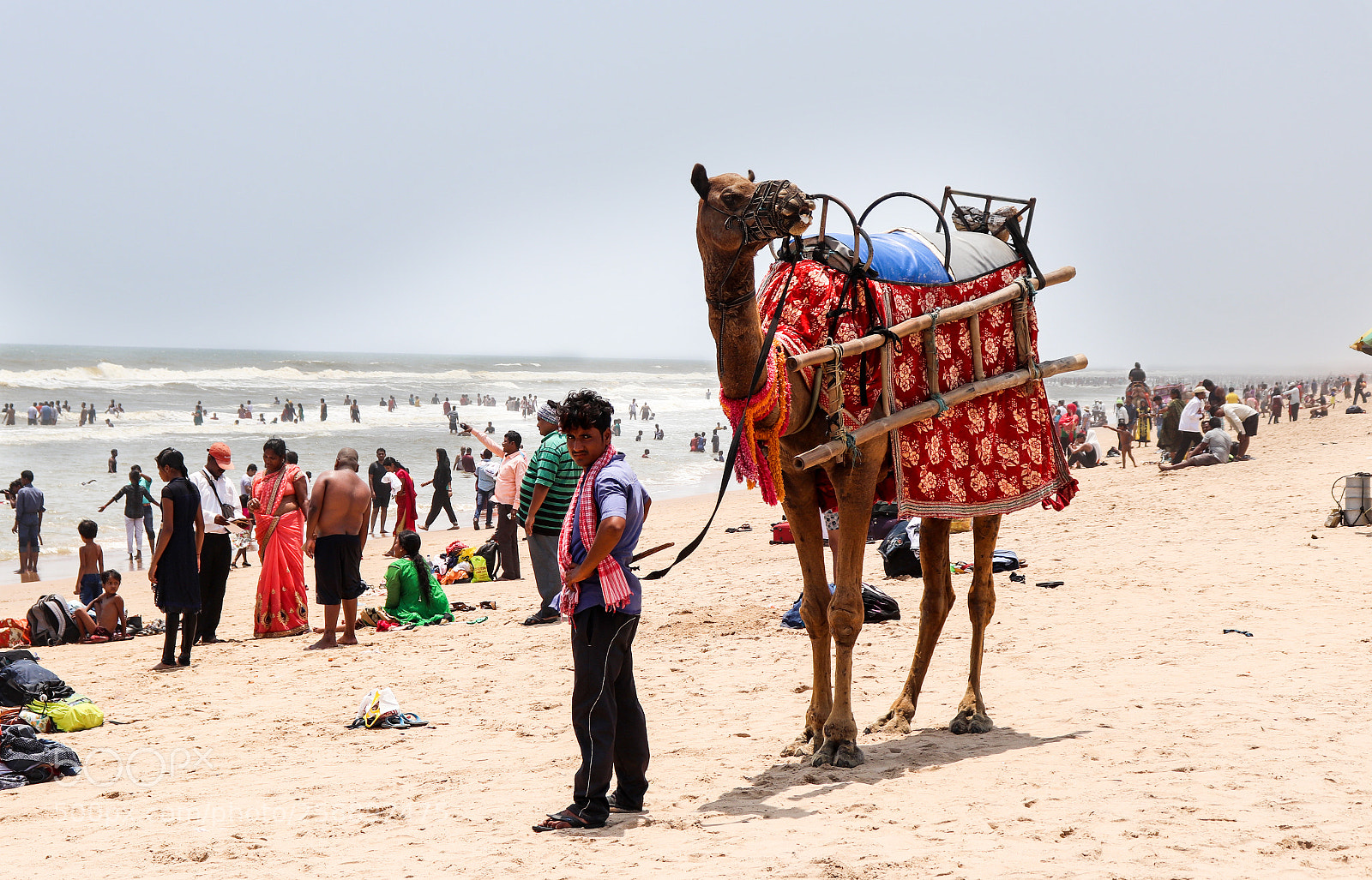 Canon EOS 200D (EOS Rebel SL2 / EOS Kiss X9) sample photo. A boy with camel photography