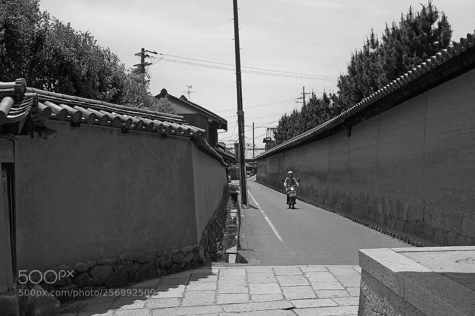 Sony Alpha NEX-6 sample photo. In nara photography