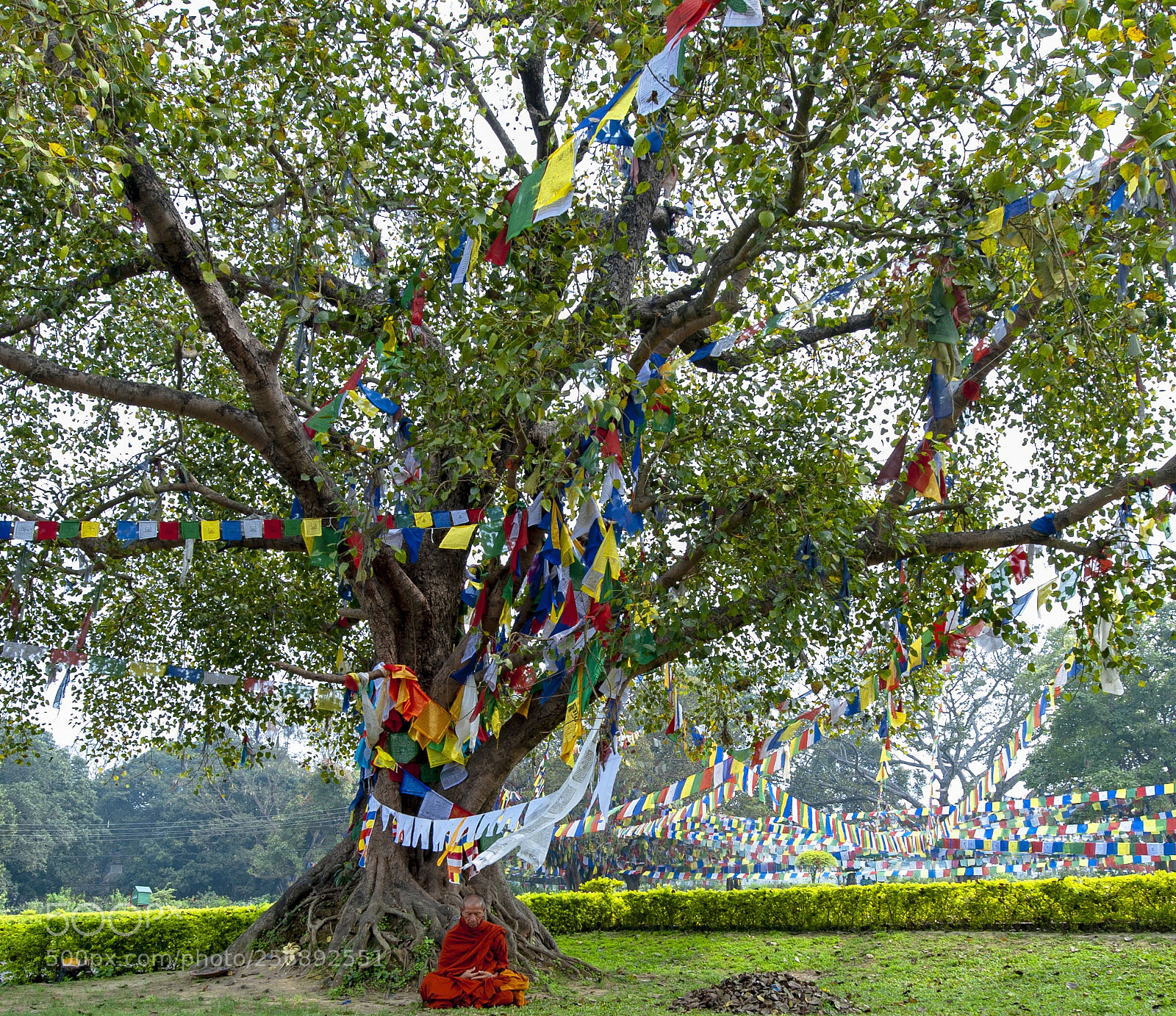 Nikon D700 sample photo. Meditation  photography