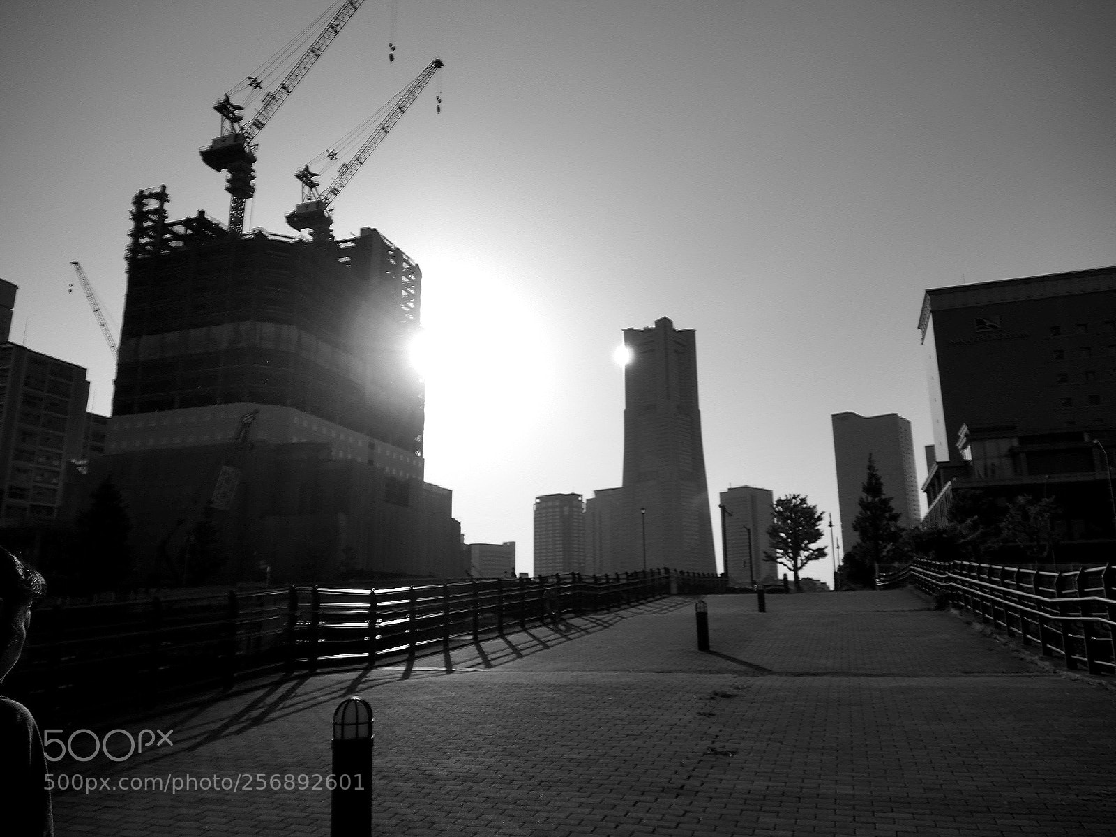Olympus OM-D E-M5 II sample photo. Yokohama japan photography