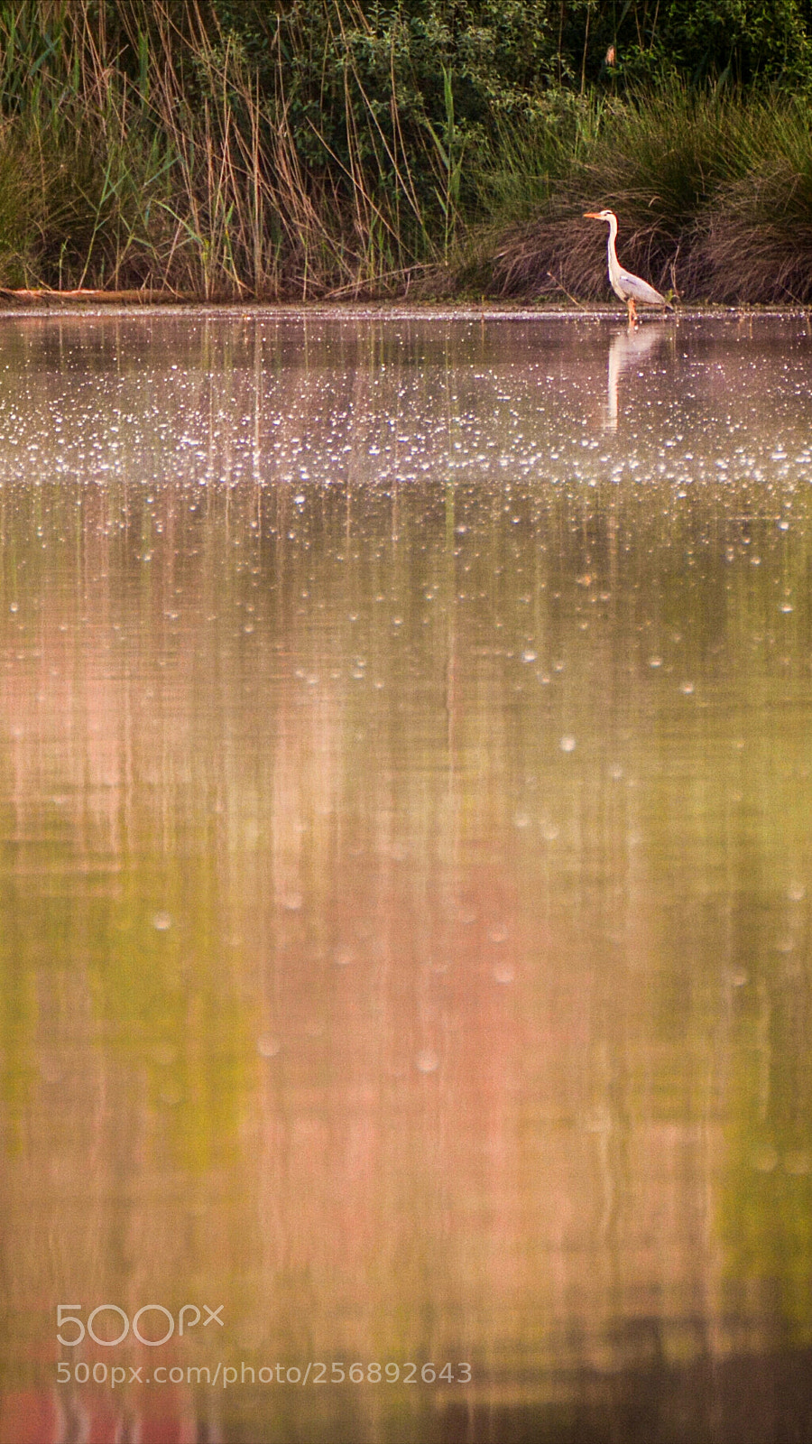Nikon D7100 sample photo. After the flight photography
