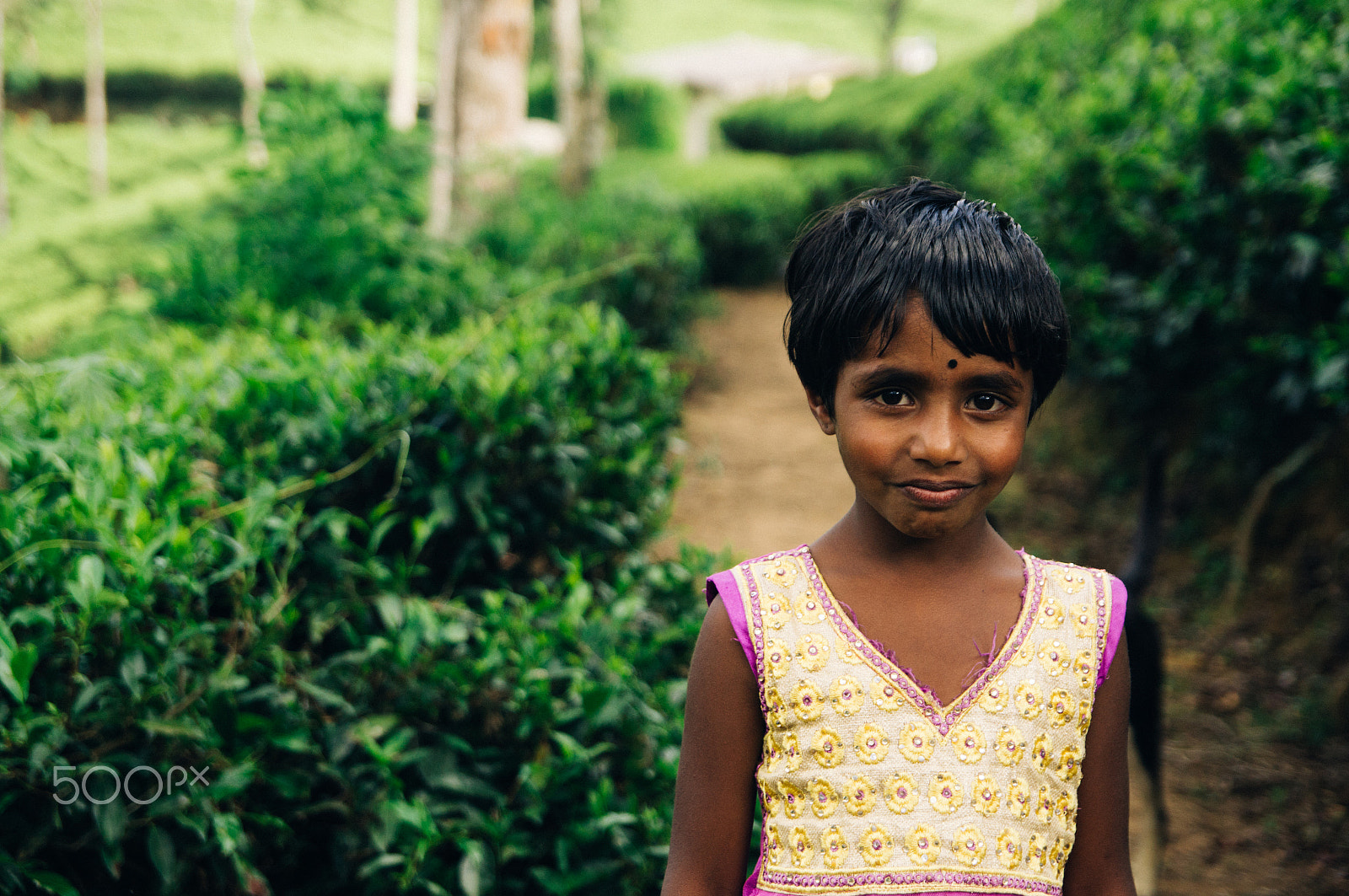 Sony Alpha DSLR-A580 sample photo. Sri lanka photography