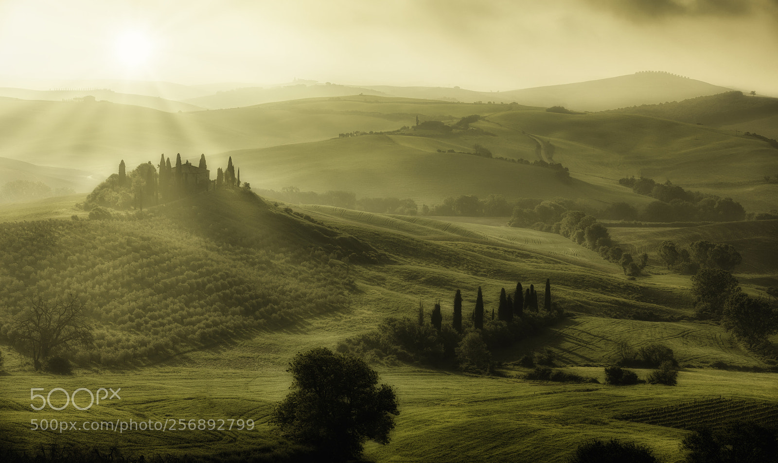Canon EOS 5D Mark IV sample photo. Belvedere at sunrise photography