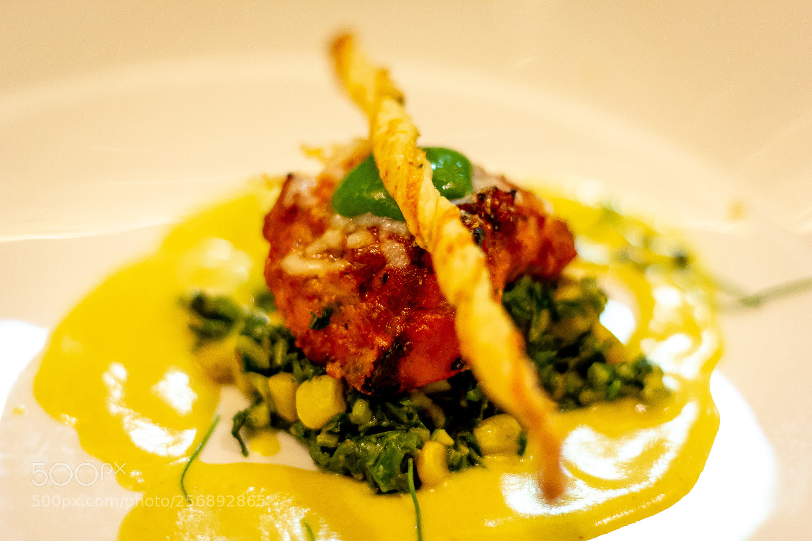 Canon EOS 60D sample photo. Parmesan tamatari chicken tikka photography