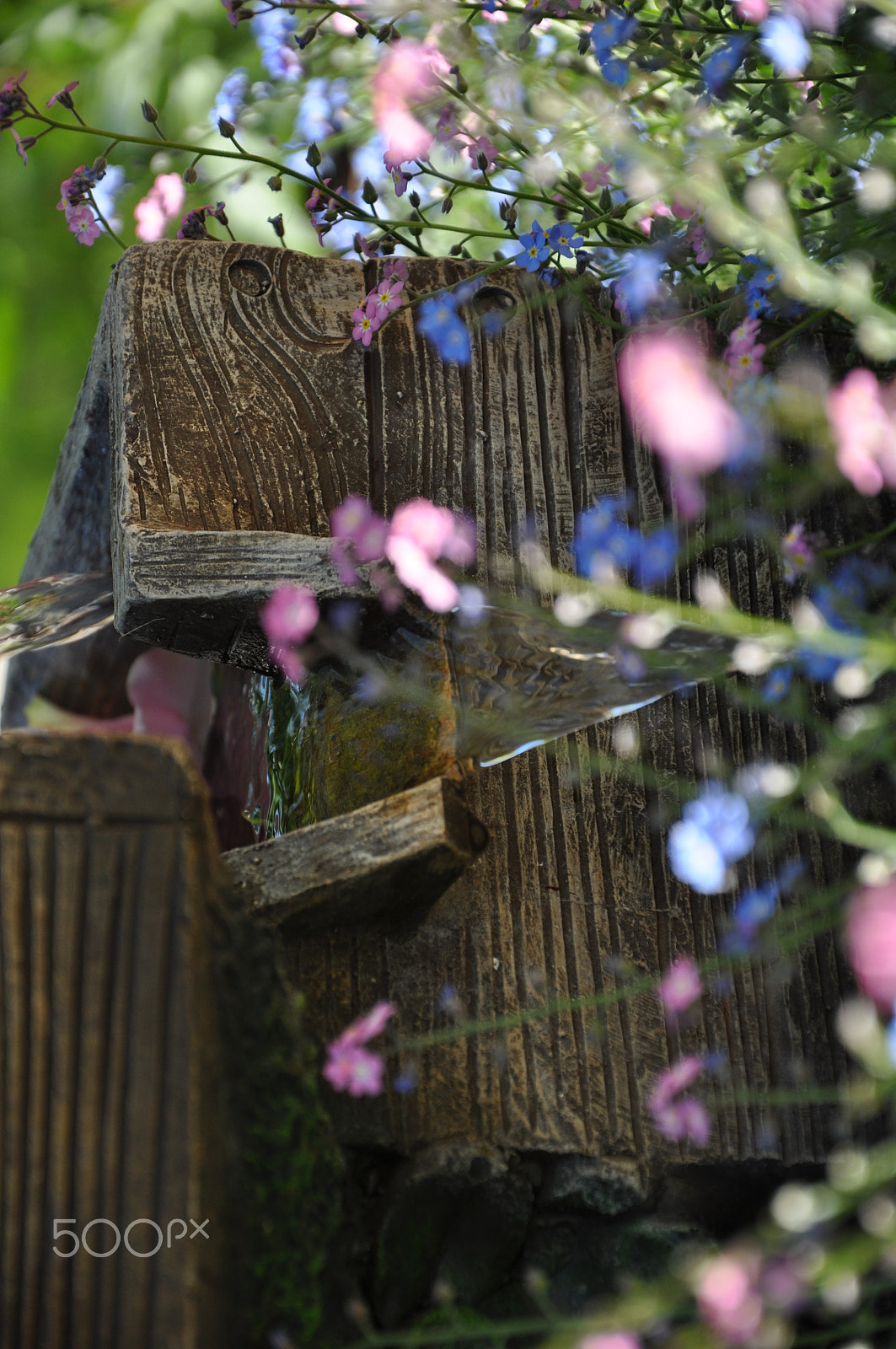 Nikon D5000 sample photo. Brunnen photography