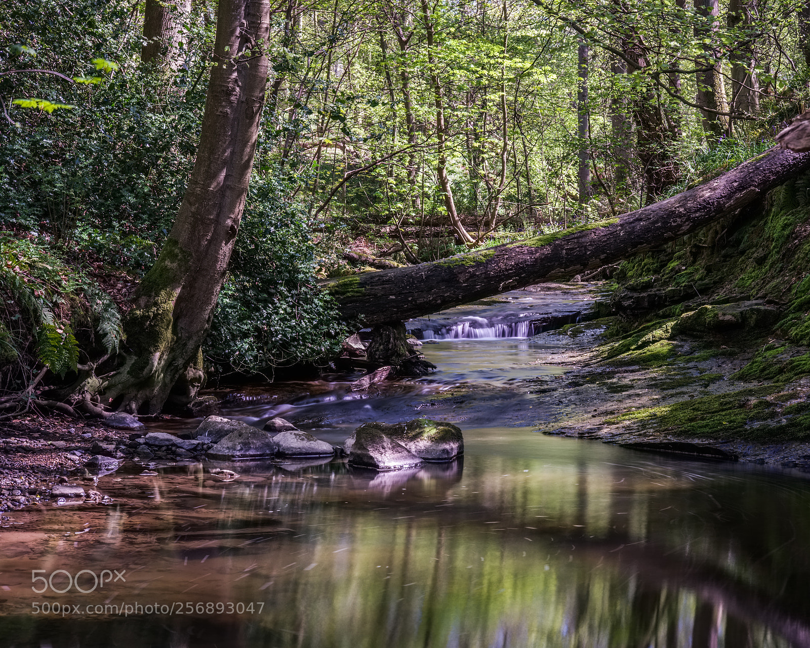 Fujifilm X-T2 sample photo. Where sacred waters flow photography