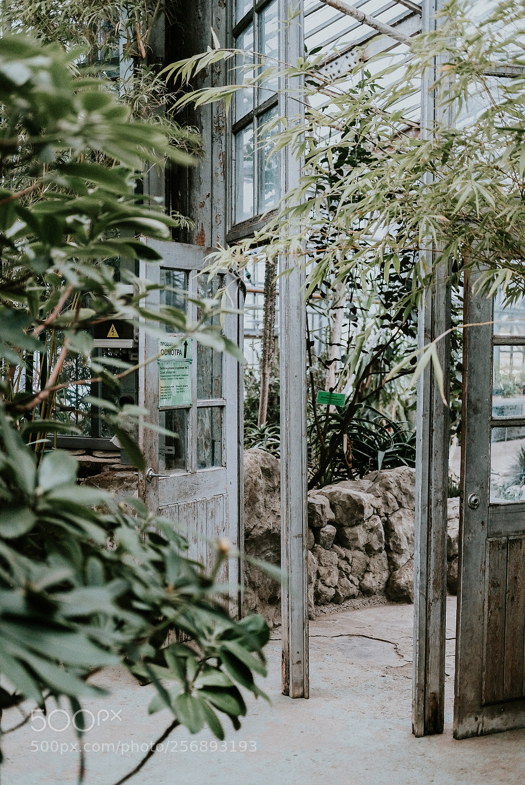 Fujifilm X-T20 sample photo. Img photography